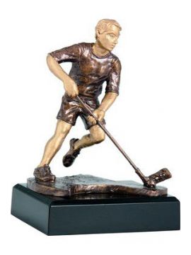 Trofej florbal