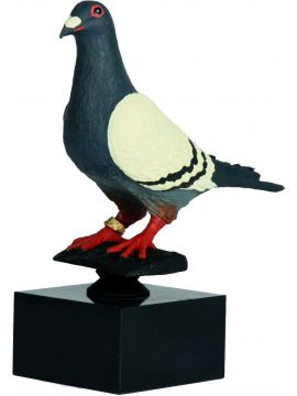 Trofej - holuby /RW577/