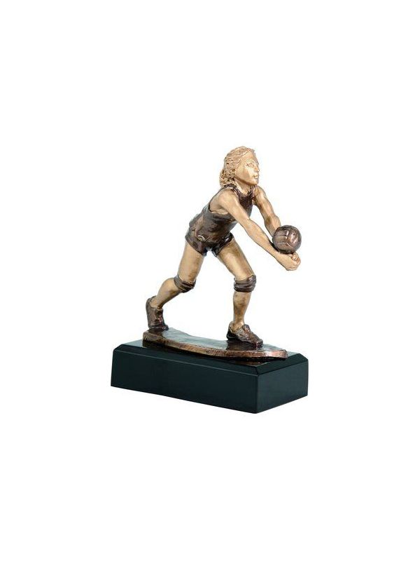 Trofej - volejbal /RFST2016/BR/