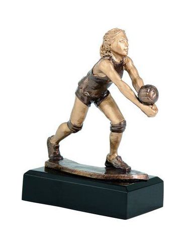 Trofej - volejbal /RFST2016/BR/