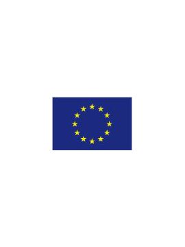 Vlajka EÚ /V1003/